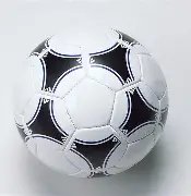 双色球,必中秘籍大,公开,浙江体彩,浙江体彩网,浙江体彩网官网,体育彩票,体彩大乐透,竞彩足球,体彩公益