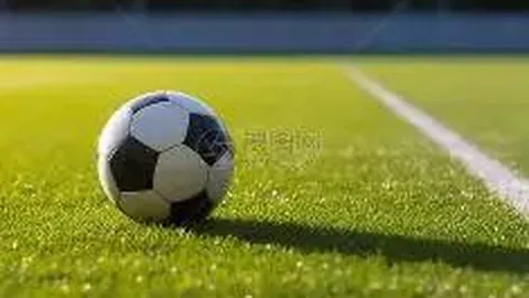 【掌上彩票秘籍】揭秘体彩排列3第3022期精选复式组合，跟我一起赢取大奖惊喜！