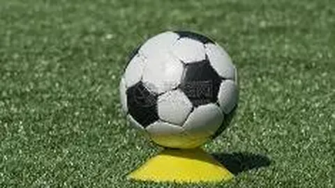 【路路通解码】028期排列三组选五码揭秘：02348，独家解析，不容错过！